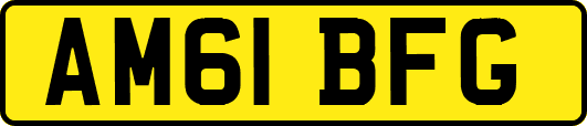 AM61BFG