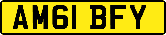 AM61BFY