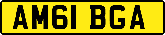 AM61BGA