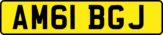 AM61BGJ