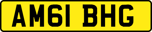 AM61BHG