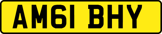 AM61BHY