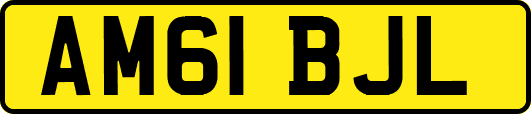 AM61BJL