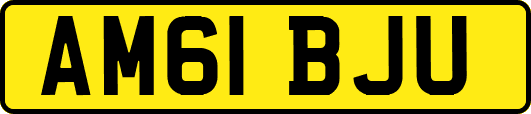 AM61BJU