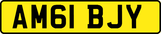 AM61BJY