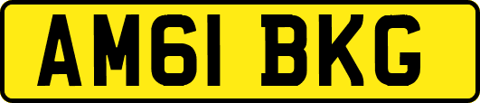 AM61BKG