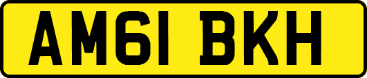 AM61BKH