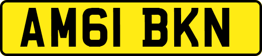 AM61BKN