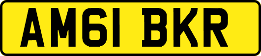 AM61BKR