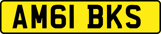 AM61BKS