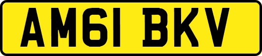 AM61BKV