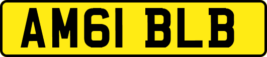 AM61BLB