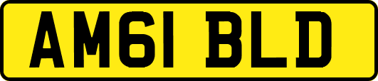 AM61BLD