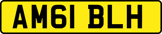 AM61BLH