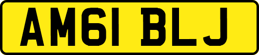 AM61BLJ