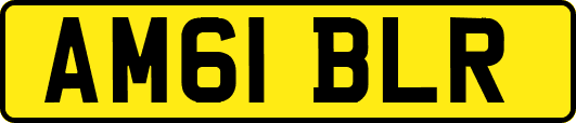 AM61BLR