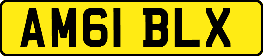 AM61BLX