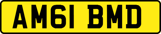AM61BMD