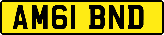AM61BND