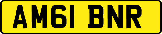 AM61BNR