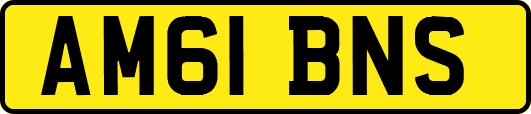 AM61BNS