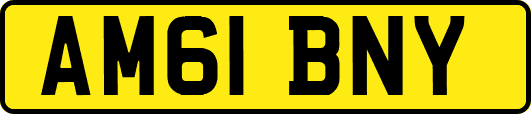 AM61BNY