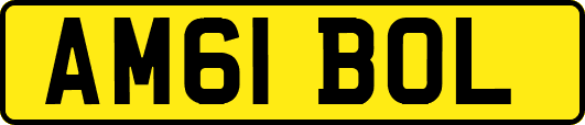 AM61BOL