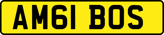 AM61BOS