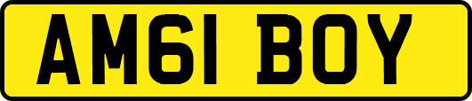AM61BOY