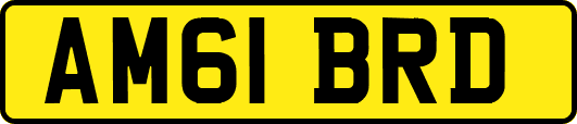AM61BRD