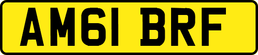 AM61BRF
