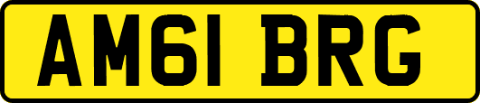 AM61BRG