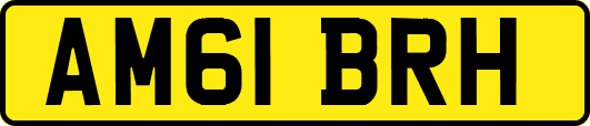 AM61BRH