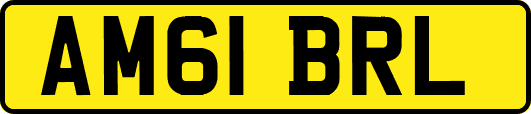 AM61BRL