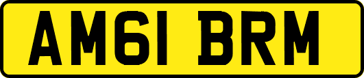 AM61BRM