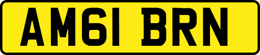 AM61BRN