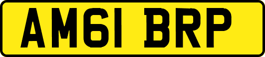 AM61BRP