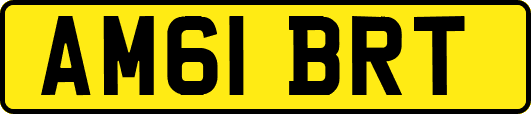 AM61BRT
