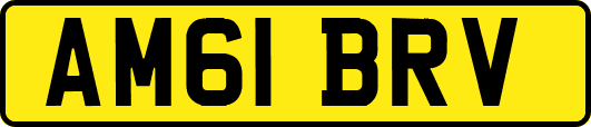 AM61BRV
