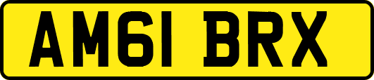 AM61BRX
