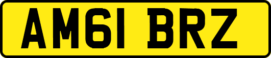 AM61BRZ