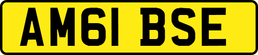 AM61BSE