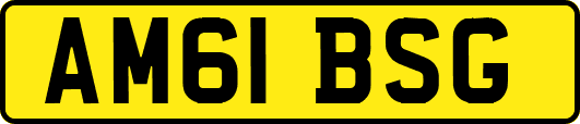 AM61BSG