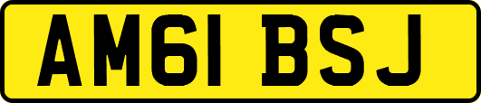 AM61BSJ