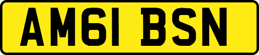 AM61BSN