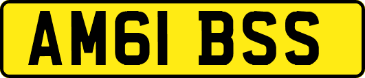 AM61BSS