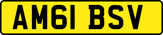 AM61BSV