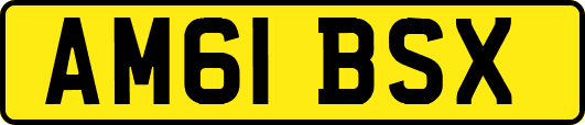 AM61BSX