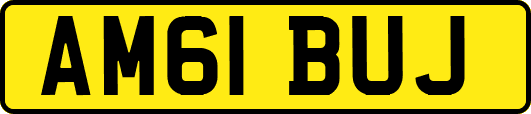 AM61BUJ