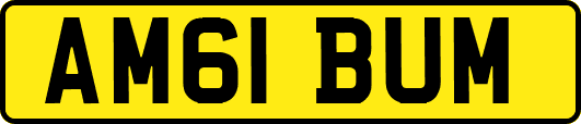 AM61BUM